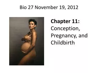 Bio 27 November 19, 2012