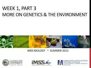Week 1, Part 3 More on genetics &amp; the environment