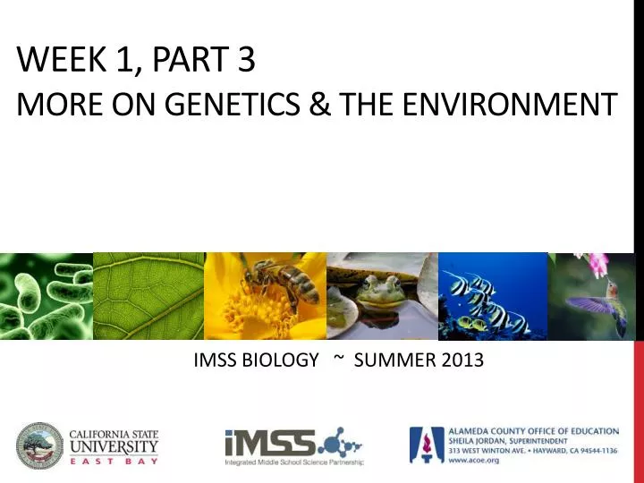 week 1 part 3 more on genetics the environment