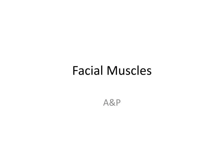facial muscles