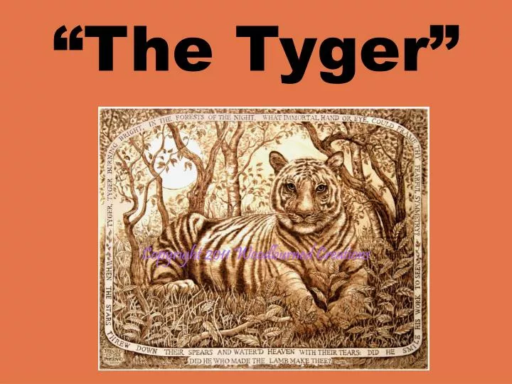 the tyger