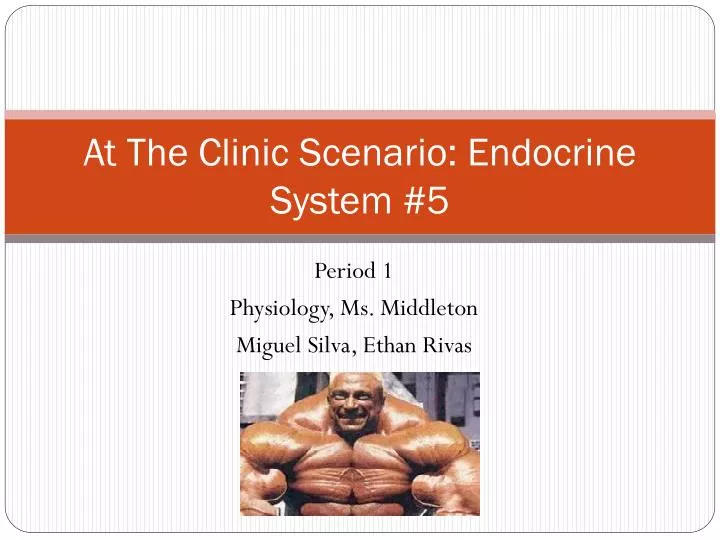 at the clinic scenario endocrine system 5