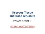 Osseous Tissue and Bone Structure - slide 1