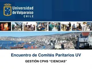encuentro de comit s paritarios uv