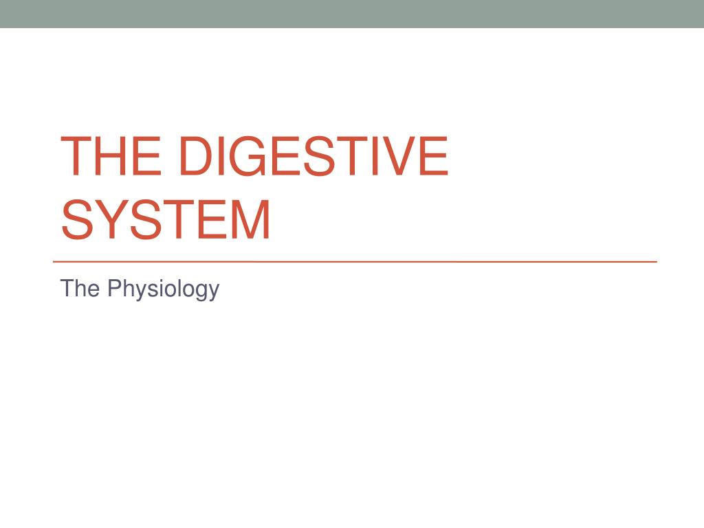 PPT - The Digestive System PowerPoint Presentation, free download - ID ...