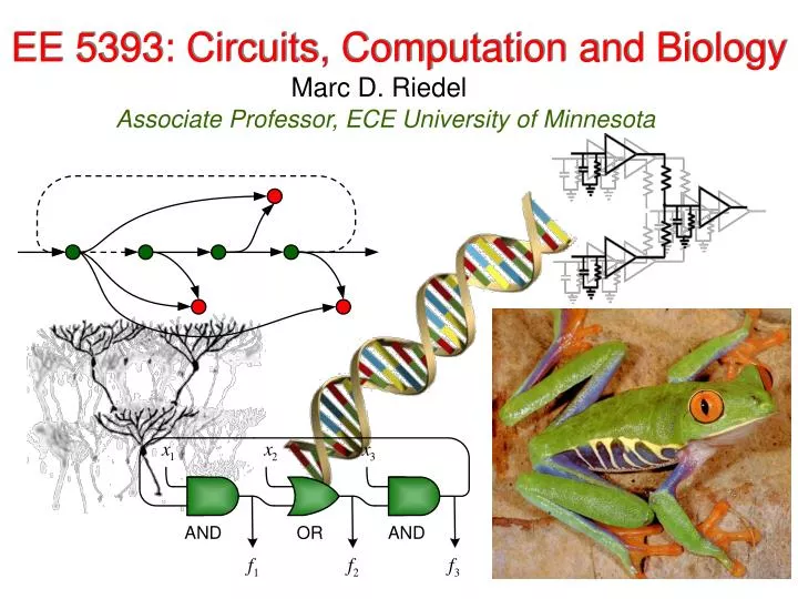 ee 5393 circuits computation and biology