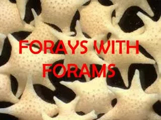 FORAYS WITH FORAMS