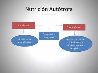 nutrici n aut trofa