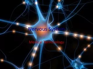 Nervous System