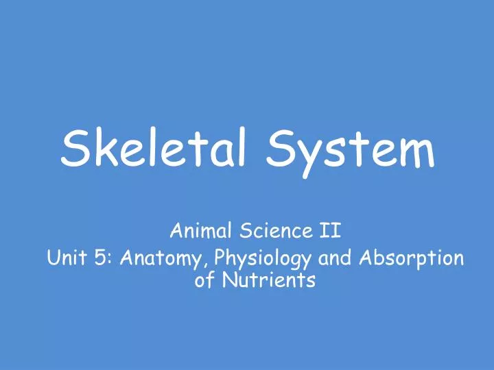 skeletal system