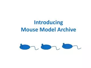 Introducing Mouse Model Archive