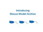 Mouse Model Archive: A Comprehensive Tool for Mouse Model Data Management and Sharing - slide 1