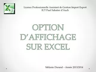 option d affichage sur excel