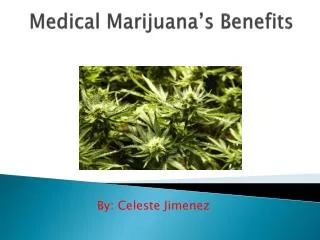 Medical Marijuana’s Benefits