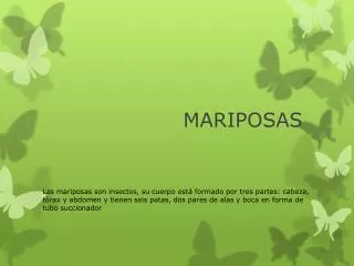mariposas