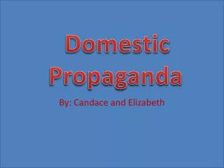 Domestic Propaganda