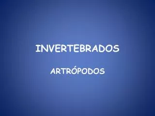 invertebrados