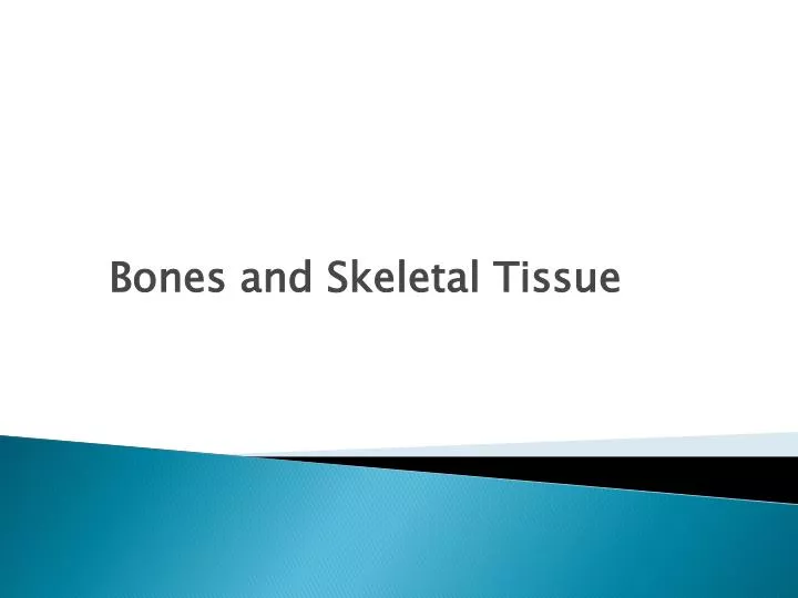bones and skeletal tissue