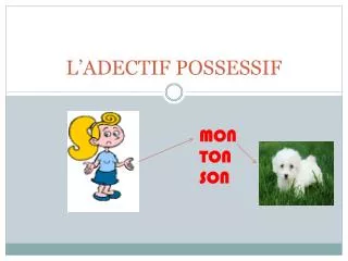 l adectif possessif