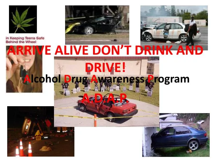 arrive alive don t drink and drive