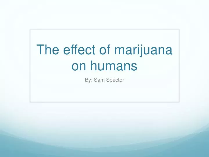 the effect of marijuana on humans