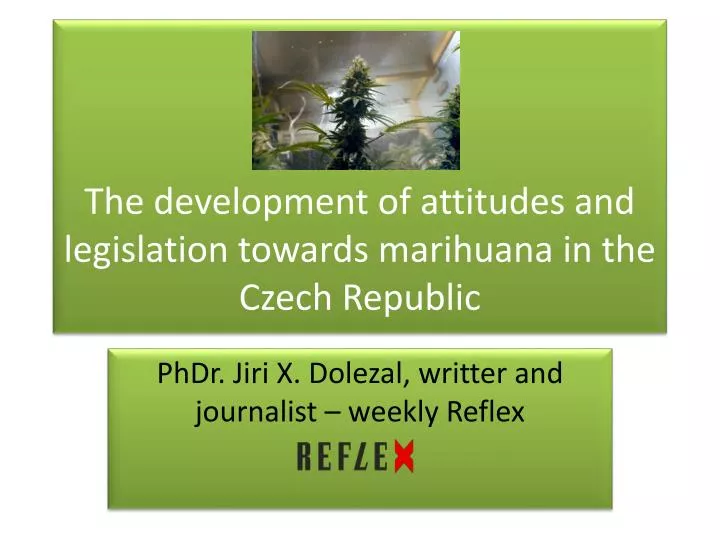 the development of attitudes and legislation towards marihuana in the czech republic