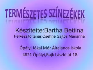 Ópályi Jókai Mór Általános Iskola 4821 Ópályi,Rajk László út 18.