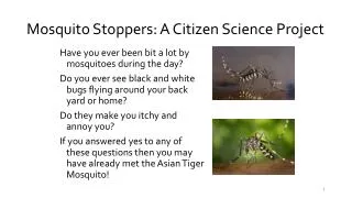 Mosquito Stoppers: A Citizen Scienc e Project