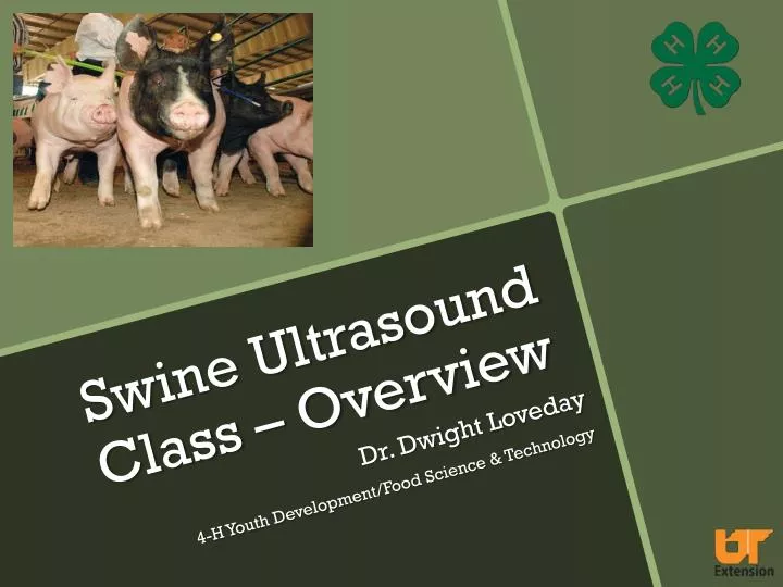 swine ultrasound class overview