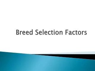 Breed Selection Factors