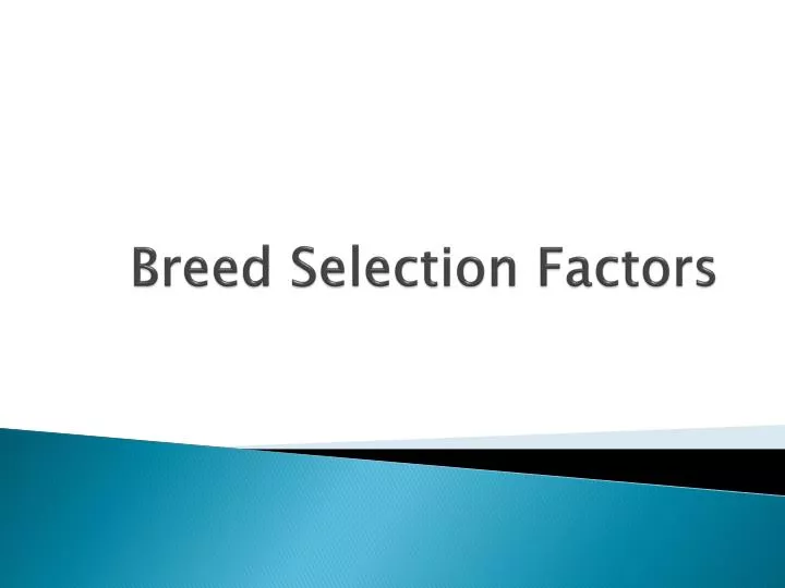 breed selection factors