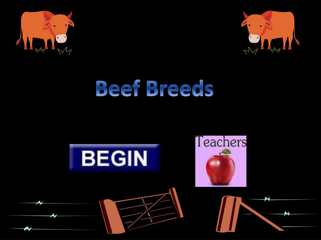 PPT - Beef Breeds PowerPoint Presentation, free download - ID:2037848
