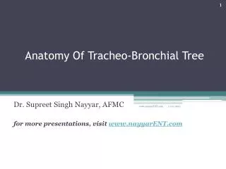 Anatomy Of Tracheo -Bronchial Tree