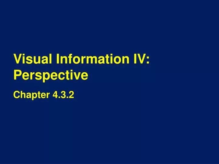 visual information iv perspective