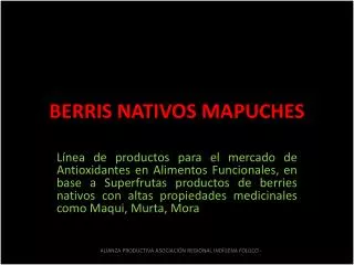 berris nativos mapuches