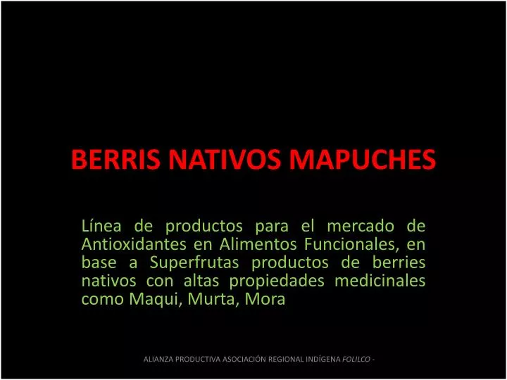 berris nativos mapuches