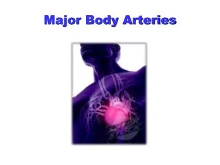 Major Body Arteries