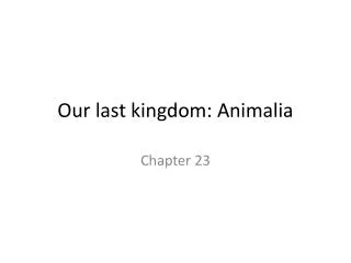 Our last kingdom: Animalia