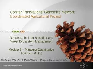 Genomics in Tree Breeding and Forest Ecosystem Management -----