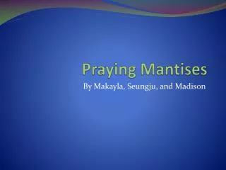 Praying Mantises
