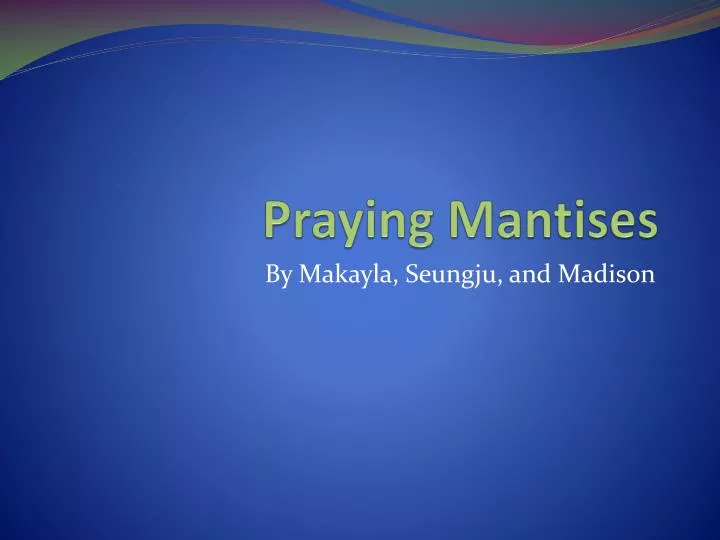 praying mantises