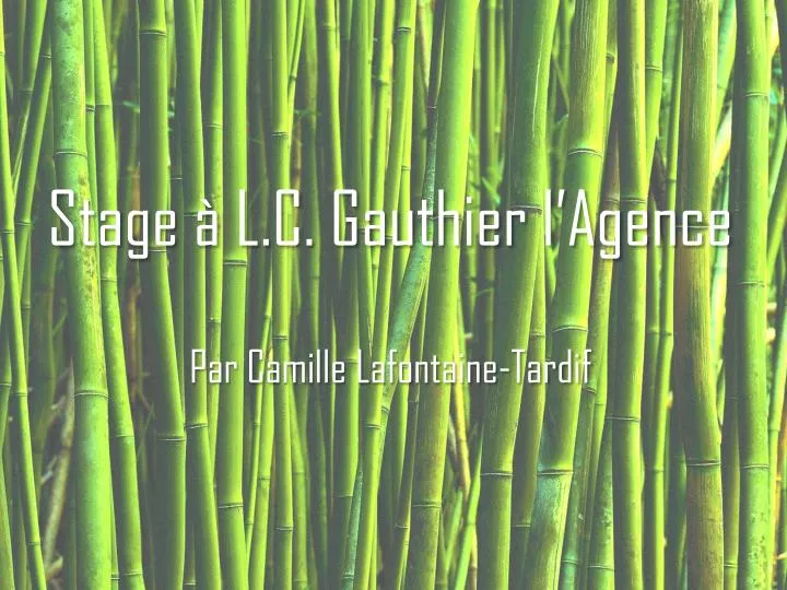 stage l c gauthier l agence par camille lafontaine tardif