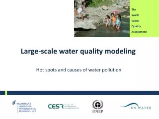 Large- scale water quality modeling