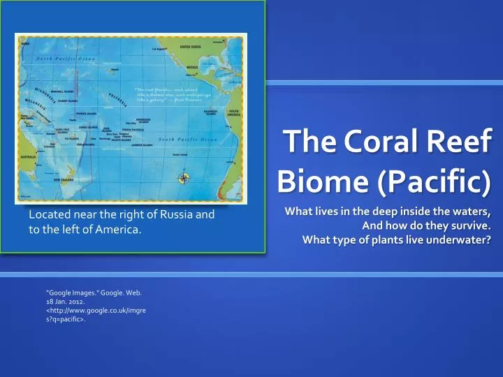 the coral reef biome pacific