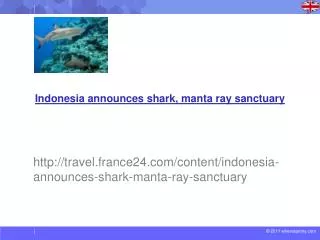 Indonesia announces shark, manta ray sanctuary