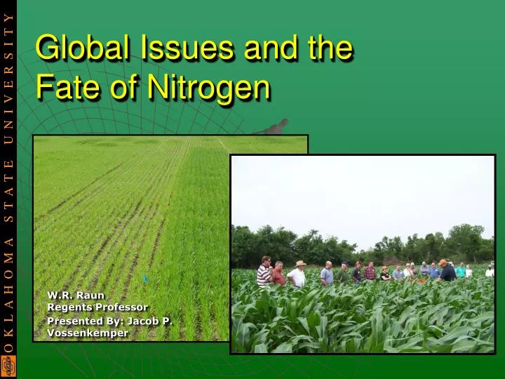 global issues and the fate of nitrogen