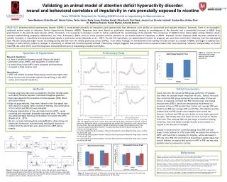 Validating an animal model of attention deficit hyperactivity disorder: