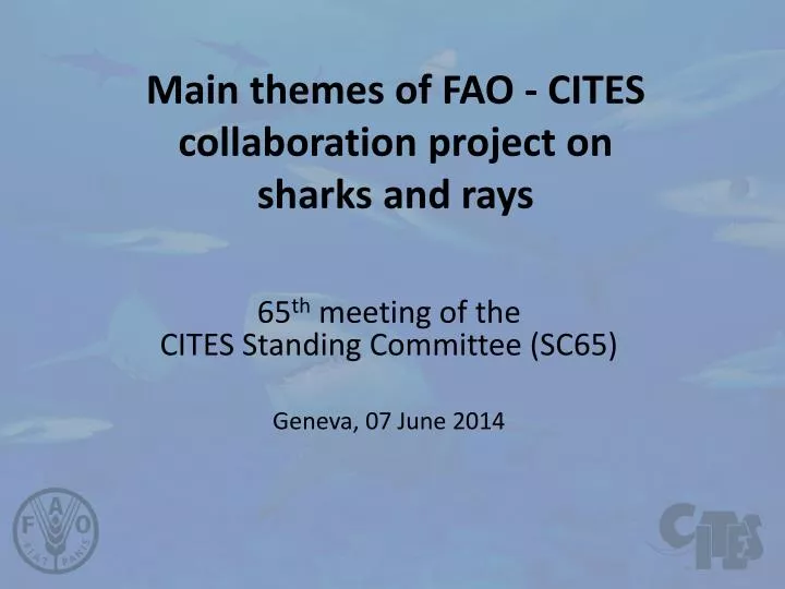 main themes of fao cites collaboration project on sharks and rays