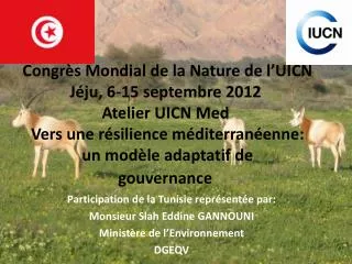 Participation de la Tunisie représentée par: Monsieur Slah Eddine GANNOUNI