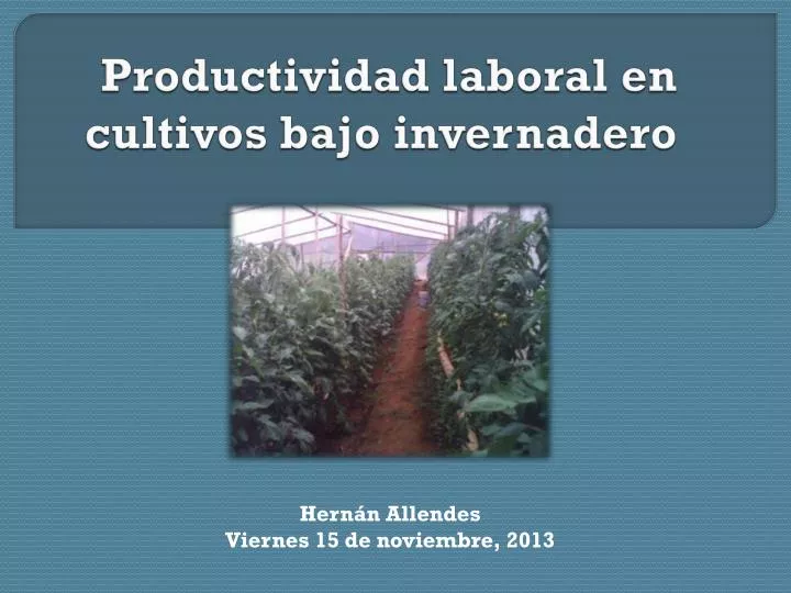 productividad laboral en cultivos bajo invernadero